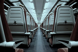 孕期可以坐飞机出国旅游需要什么手续？